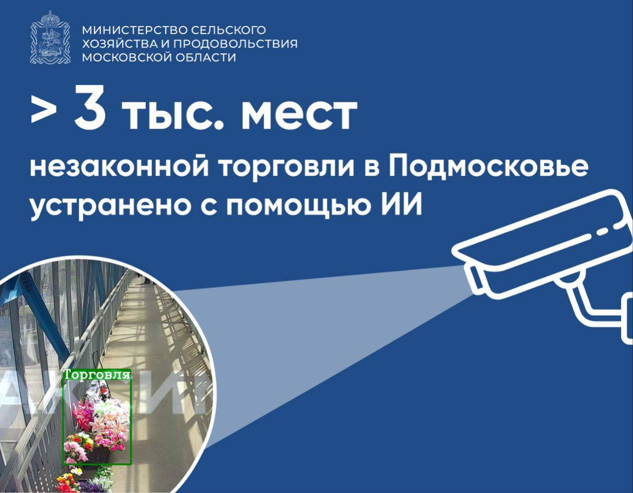  С помощью искусственного интеллекта устранено более 3 тысяч мест незаконной торговли 