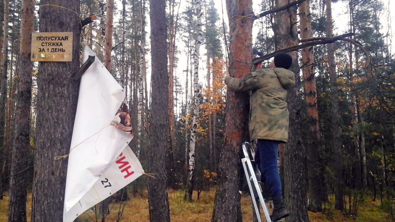  В лесах Подмосковья за неделю демонтировали более 130 незаконных рекламных объектов